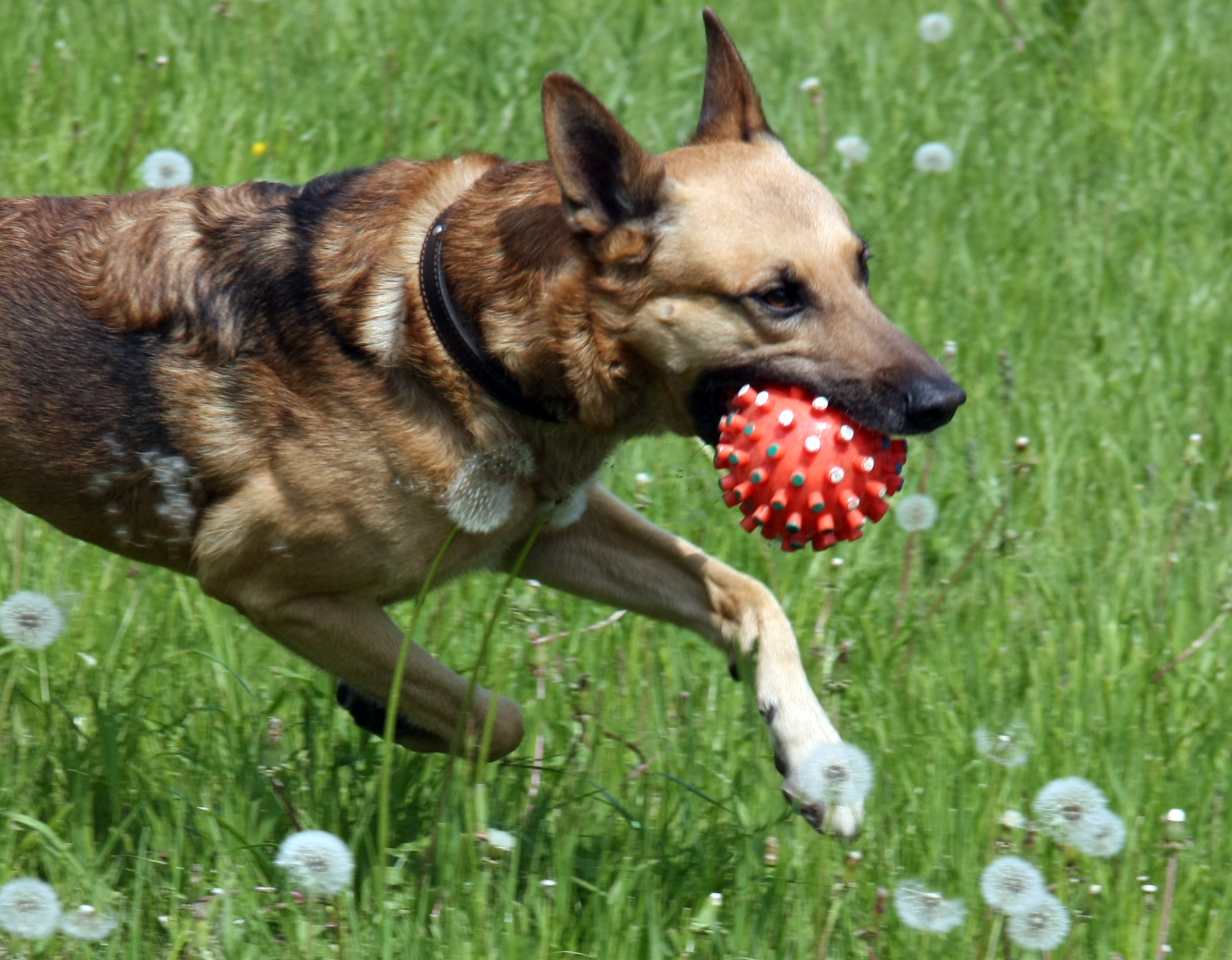 outdoor play